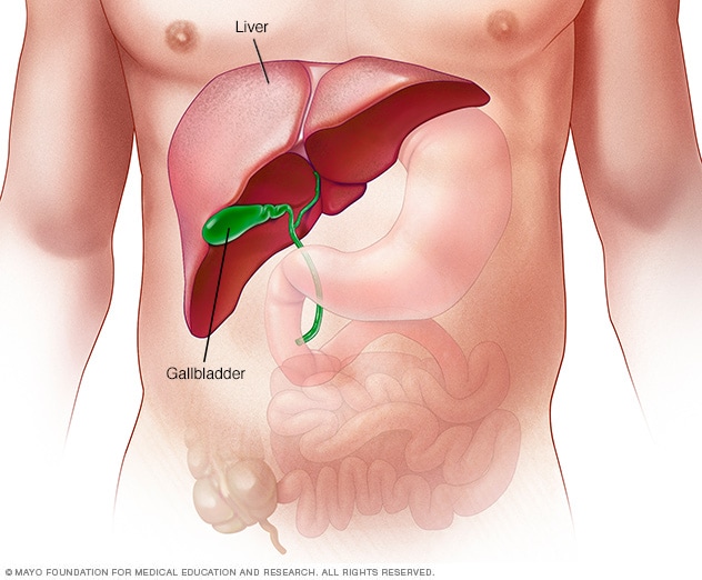 What are The symptoms of Liver damage